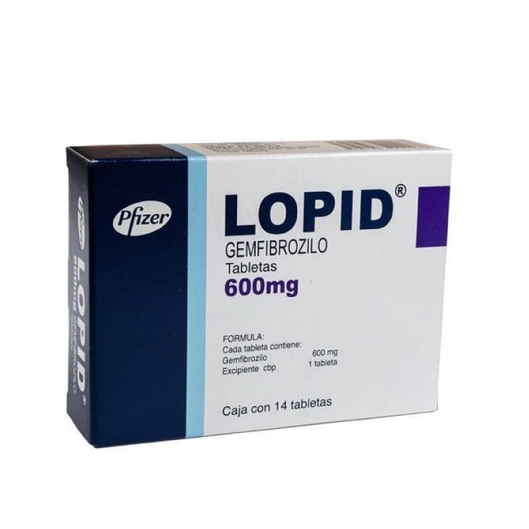 lopid 600 mg tablet